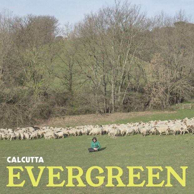 calcutta-evergreen